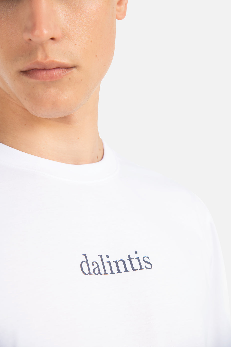 labàdienà X radio vilnius t-shirt - images