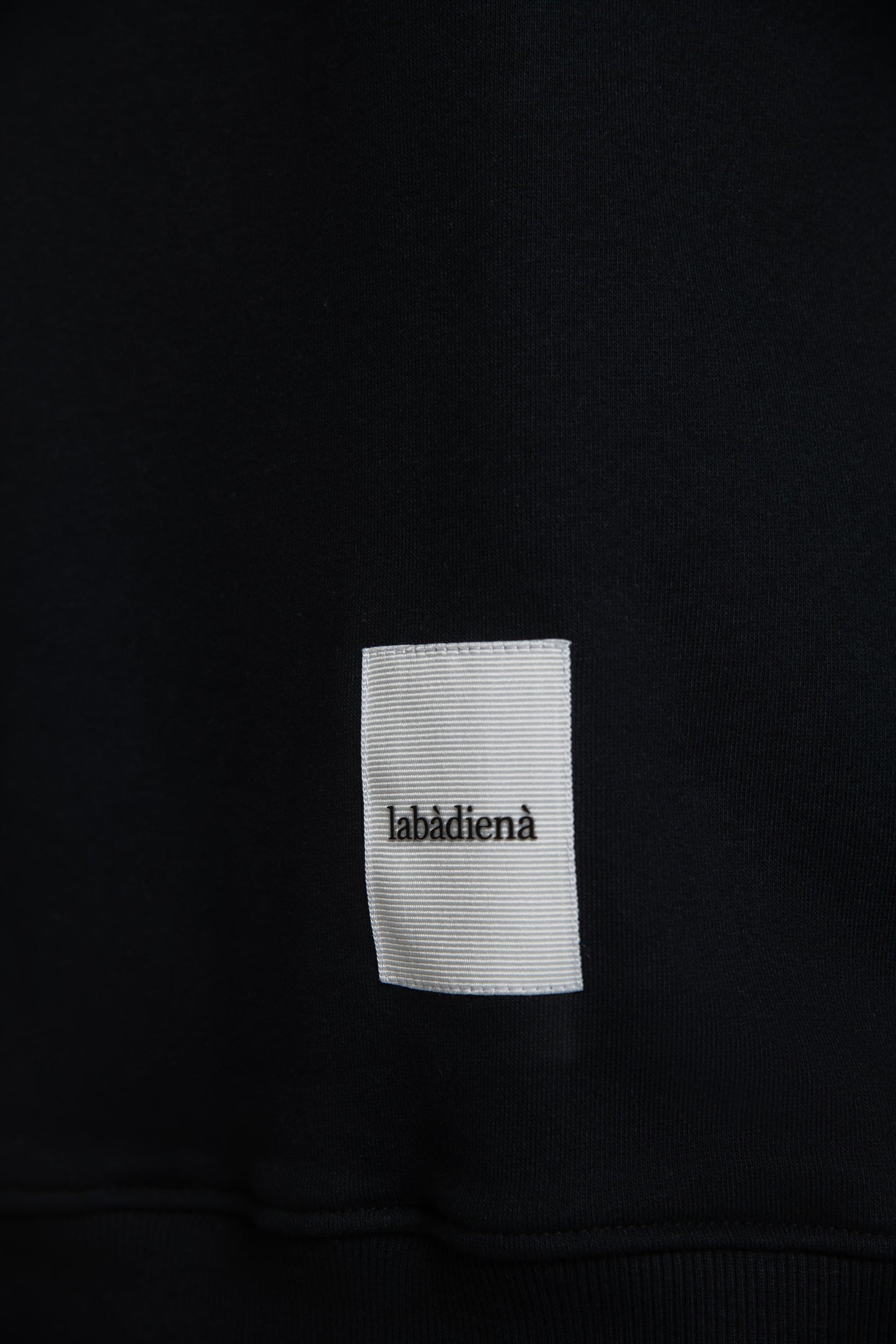 labàdienà Hoodie