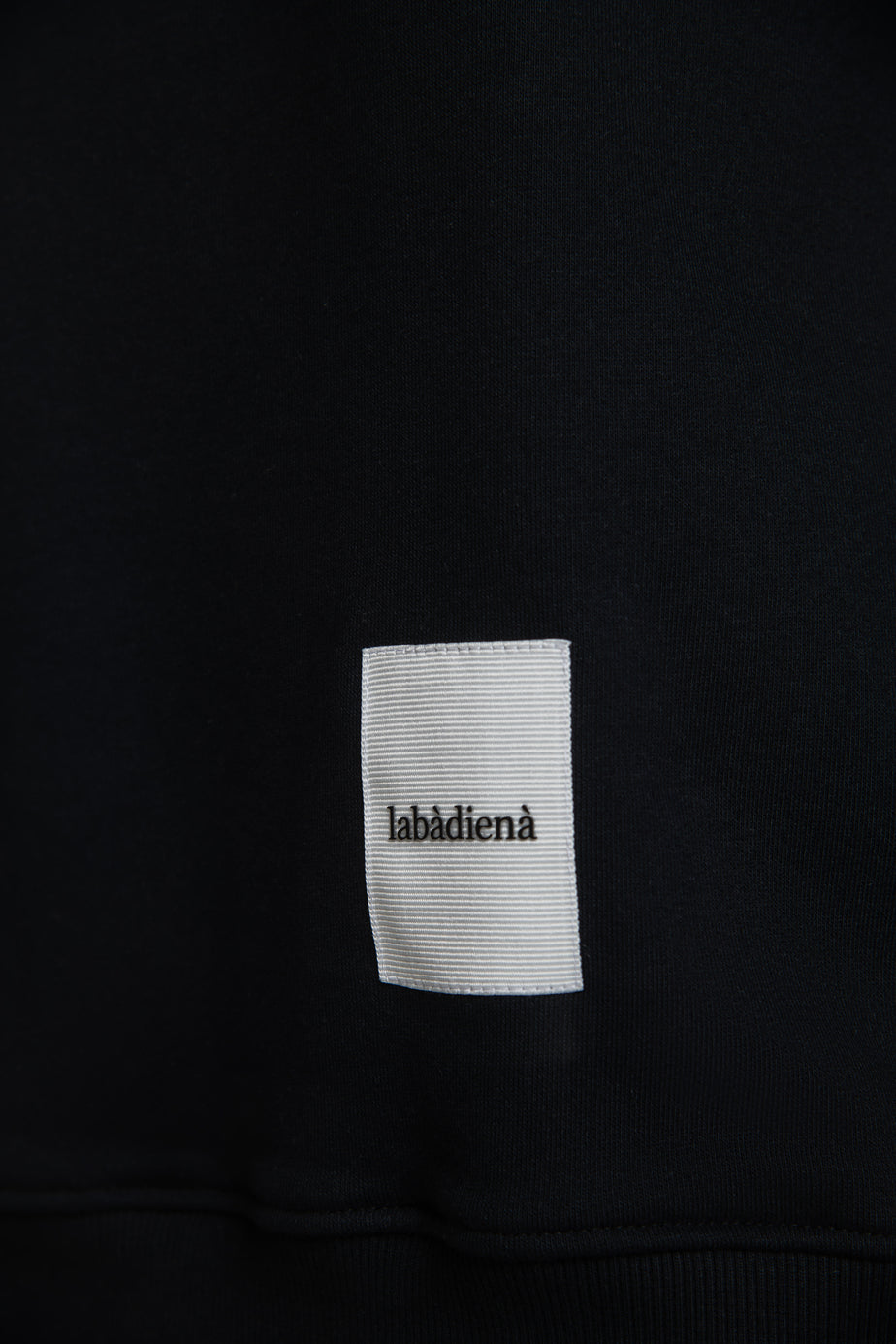 labàdienà Hoodie