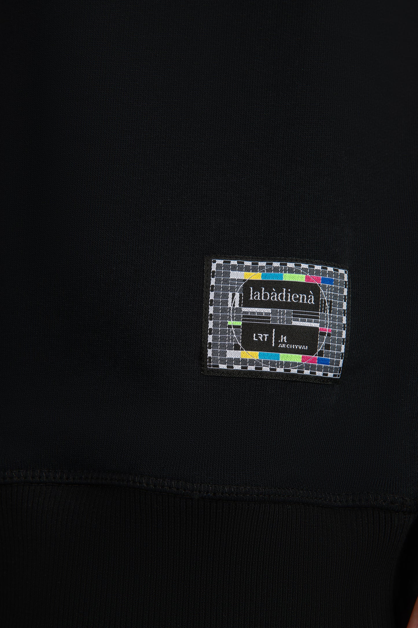 labàdienà X LRT Archyvai hoodie - Giminės