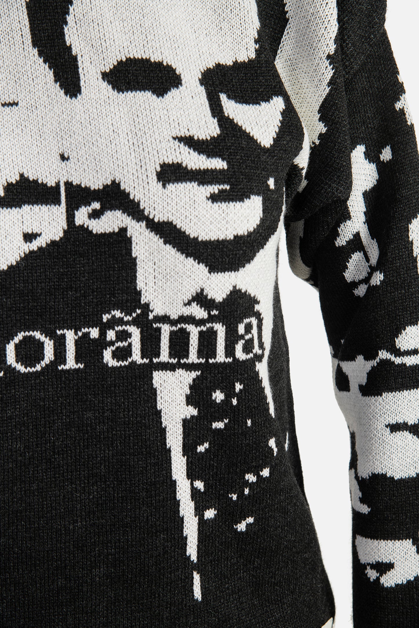 labàdienà X LRT Archyvai sweater - Panorama